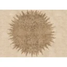 Untitled design (1)