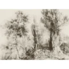 Untitled design (1)