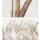 Untitled design (2)