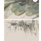Untitled design (2)