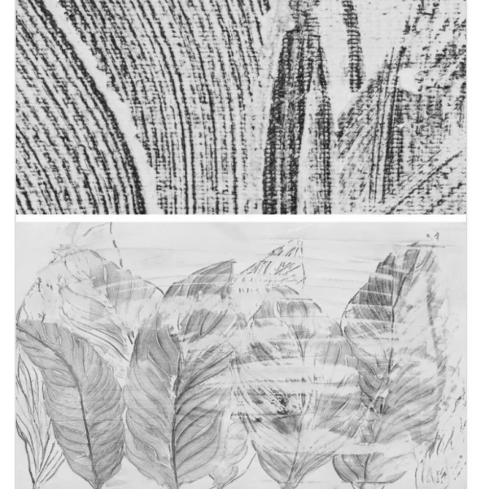 Untitled design (2) Untitled design (2)