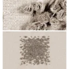 Untitled design (2)