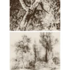Untitled design (2)