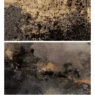Untitled design (4)